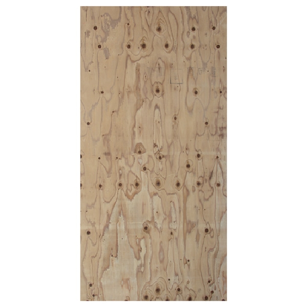 5/8 in x 4 ft x 8 ft CDX Plywood - 2