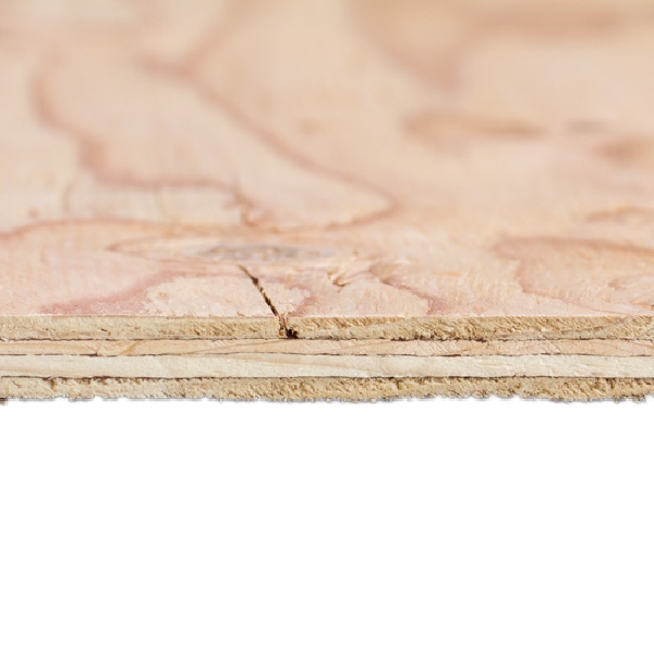 5/8 in x 4 ft x 8 ft CDX Plywood - 3