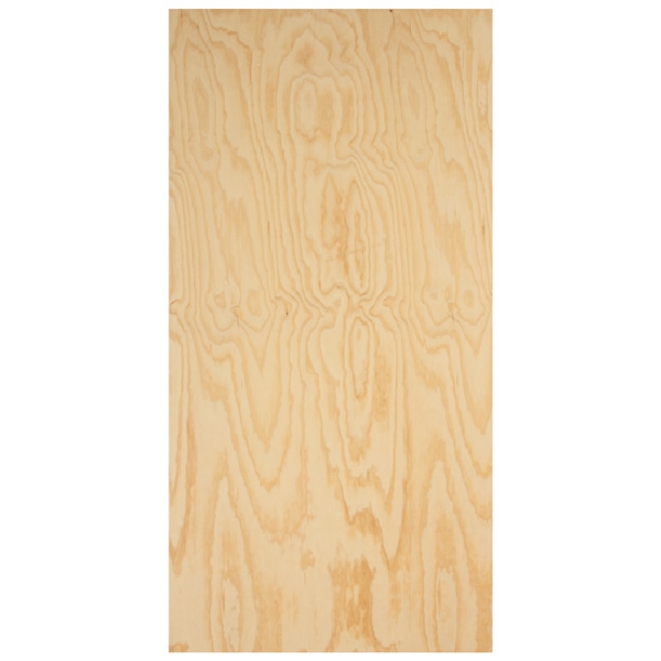 AC Sanded Plywood, Wood Products, 1/2 in x 4 ft x 8 ft - 2