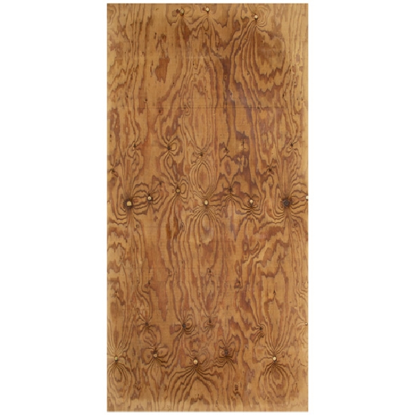 3/4 in x 4 ft x 8 ft Pressure Treated Plywood - 2