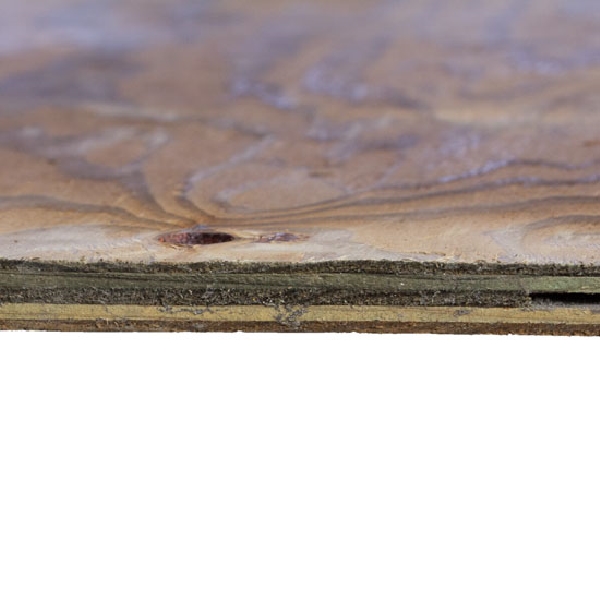 3/4 in x 4 ft x 8 ft Pressure Treated Plywood - 3