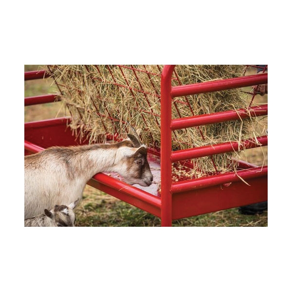 TARTER DTSAF 102363290 IFA