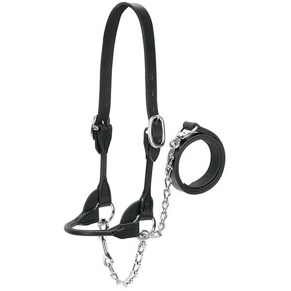 Weaver Leather 90-0501 Dairy/Beef Show Halter, S, Leather, Black