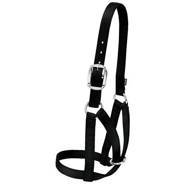 Weaver Leather 35-8003-BK Barn Cow Halter, S, Nylon, Black