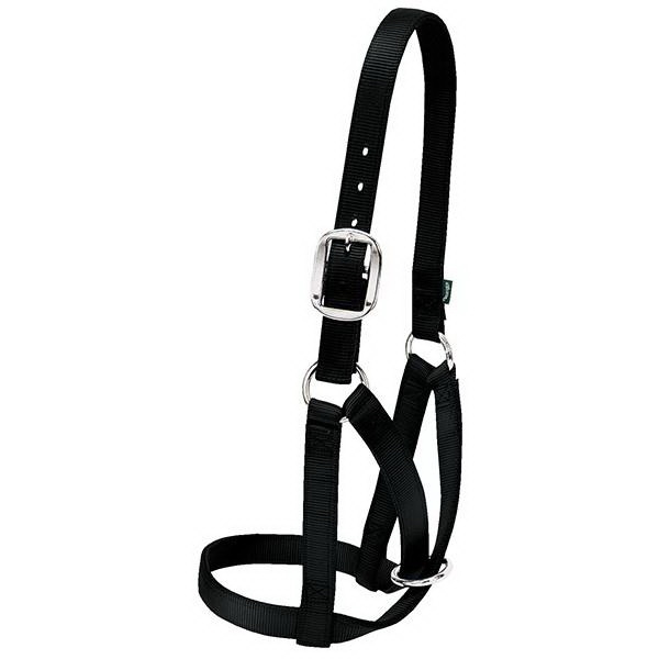 Weaver Leather 35-8004-BK Barn Cow Halter, M, Nylon, Black