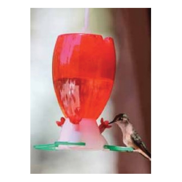Audubon NAHK6788-PLT