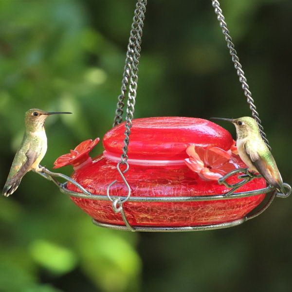 Nature's Way MHF4 Bird Feeder, Modern, 18 oz, Nectar, 3-Port/Perch, Glass, Red, 2-1/2 in H, Hanging Mounting