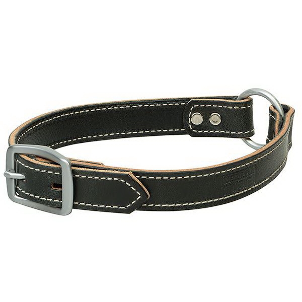 Terrain Dog 06-1992-21
