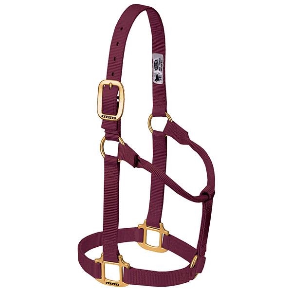 Weaver Leather 35-7005-BU Non-Adjustable Halter, Average