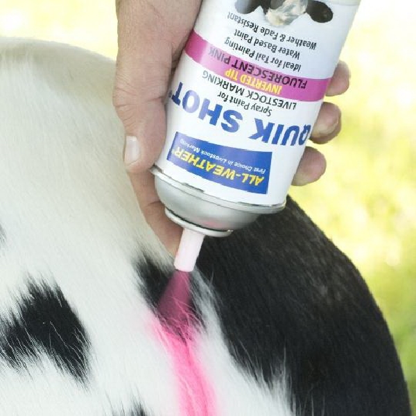 All-Weather Quik Shot 61191 Livestock Marker Paint, Red, 16 oz, Aerosol Can