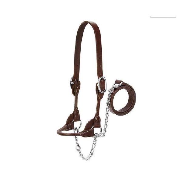 Weaver Leather 90-0515 Dairy/Beef Show Halter, M, Leather, Brown