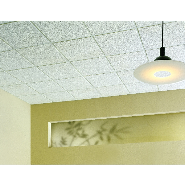 Alpine Series 1004-09 Acoustic Ceiling Panel, 2 ft L, 2 ft W, 5/8 in Thick, Non-Directional Pattern, Fiberboard