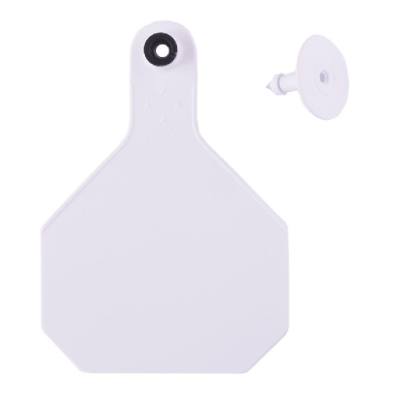Y-Tex All American 7901000 Ear Tag, L, 2 in L, 3-1/4 in W, White