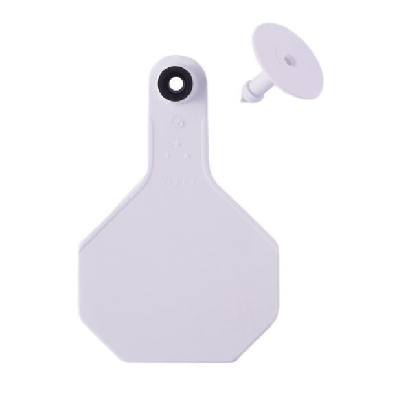 Y-Tex All American 7701000 Ear Tag, M, 1-1/2 in L, 2-1/2 in W, White