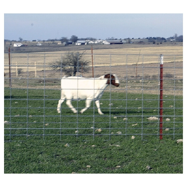 Goat fence outlet panels