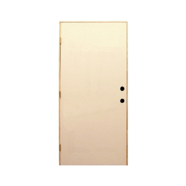 14072237 Exterior Door, 34 in W Opening, 82 in H Opening, Out Swing, Right Hand, Steel Frame