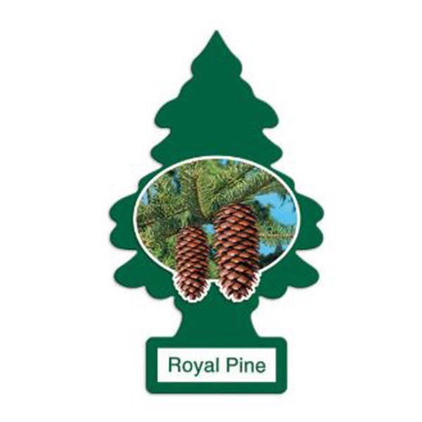 32001 Air Freshener, 3 Pack, Solid, Royal Pine