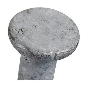 Common Nails, Fas-N-Tite, Hot Dipped, Galvanized, 3 in, 1 lb, - 3