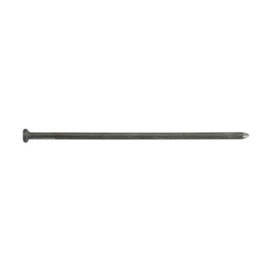 Common Spike, Fas-N-Tite, Bright, 12 in, 15 PC, - 2