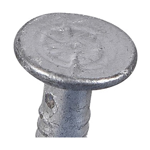 Fas-n-Tite 461326 Nail, 16D, 3-1/2 in L, Steel, Galvanized, Flat Head, Smooth, Thin Shank, Silver, 1 lb