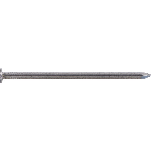 Fas-n-Tite 461366 Nail, 20D, 4 in L, Steel, Bright, Flat Head, Smooth Shank, Silver, 1 lb