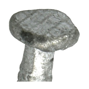 Hillman 461437 Siding Nail, 8d, 2-1/2 in L, Steel, Galvanized, Flat Head, Spiral Shank, 1 lb