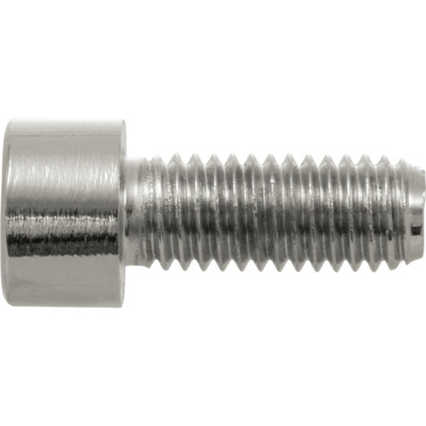 Cap Screw, Hillman, Chrome, Socket-Drive, Smooth-Head, M6-1.00 x 10mm - 2