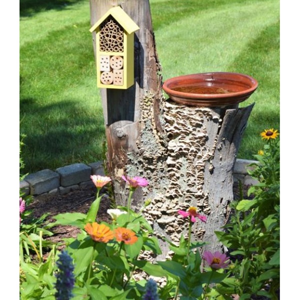 Nature's Way PWH2-AST Insect House, 5 in W, 9 in H, 2 -Chamber, Assorted - 2