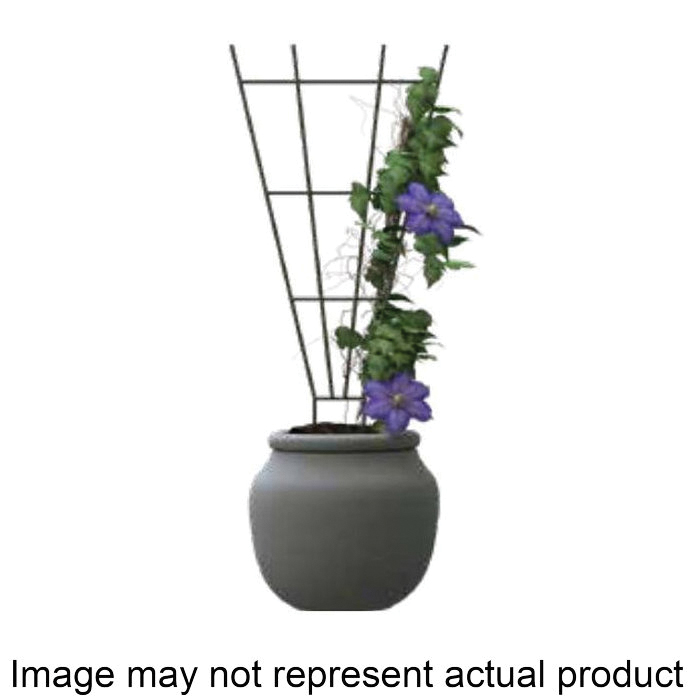 Panacea 89635