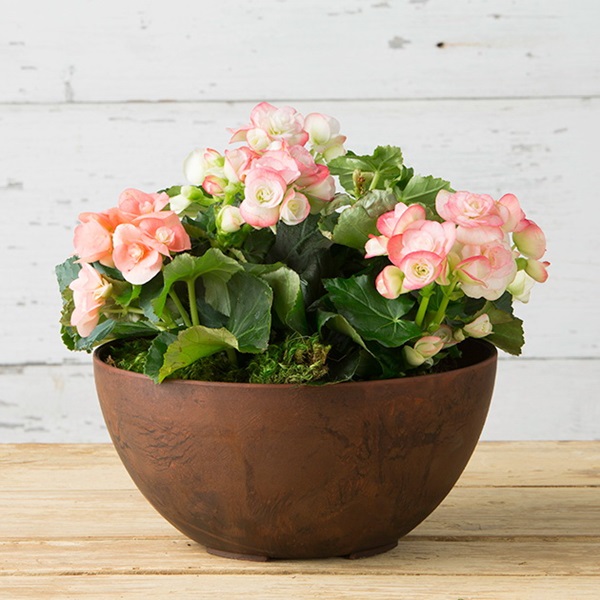 Novelty 31108 Bowl Planter, 9-3/4 in Dia, 4-3/4 in H, Round, Napa Design, Natural Stone/Resin, Black