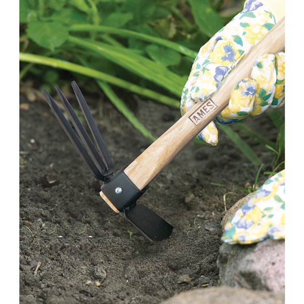 Hoe Cultivator, Ames, 3-1/4 in W, 9-1/2 in L, Wood Handle - 2