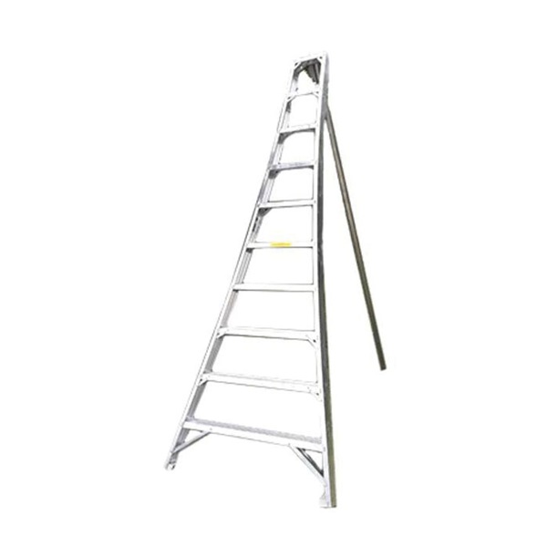 Ladder King 1116
