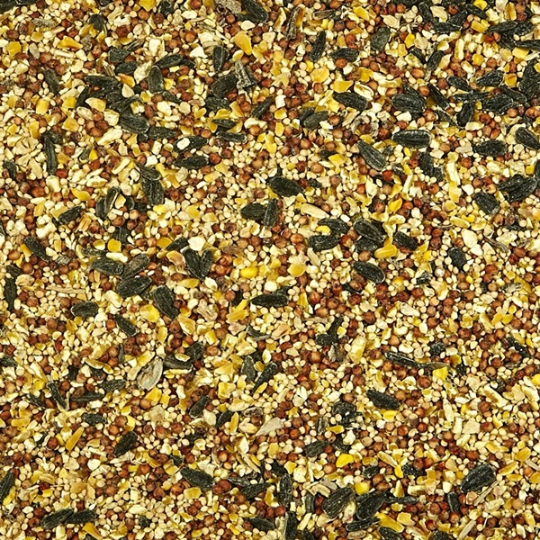 ACE 100507215 Wild Bird Food, 40 lb