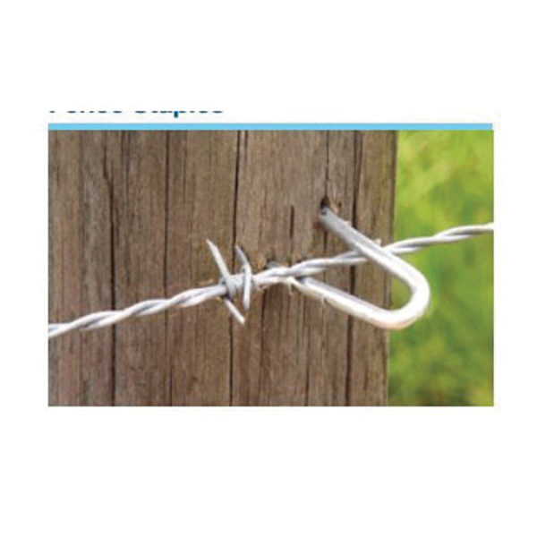 658014/187246 Barbed Fence Staple, 2 in, 8 ga Gauge