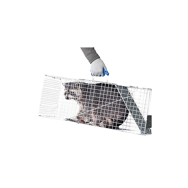 Havahart Large 1-Door Live Animal Trap