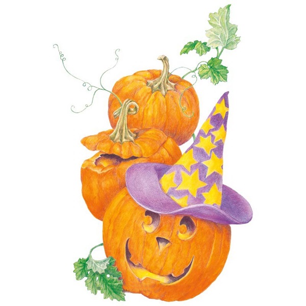 Botanical Interests 3113 Howden Pumpkin Seed, Pumpkin, Cucurbita Pepo