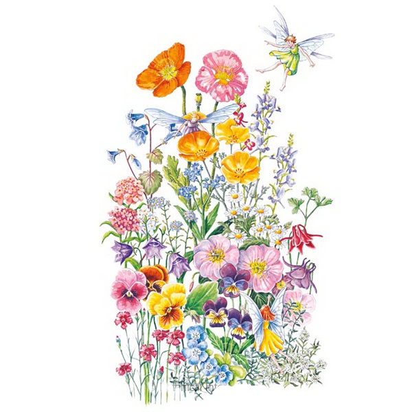 Botanical Interests 7018 Fairy Meadow Flower Mix Seed, Fairy Meadow Flower Seeds