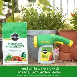 Miracle-Gro 3003710 Vegetable and Herb Plant Food, 2 lb Bag, Solid, 18-18-21 N-P-K Ratio - 3