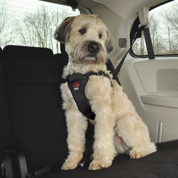 Coastal Pet Products Easy Rider 06000 BLKSML Dog Harness, S, Fastening Method: Buckle, Nylon Harness, Black