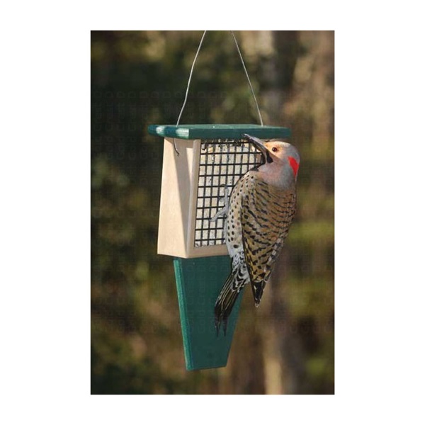 Songbird ESSENTIALS SERUBSF100HD