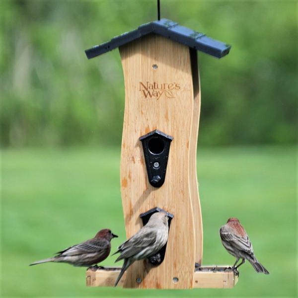 Nature's Way BWF5 Vertical Bird Feeder, Wave, 2 qt, Seed, Bamboo