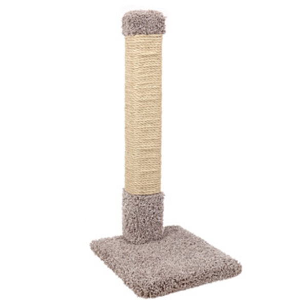 Ware 01006