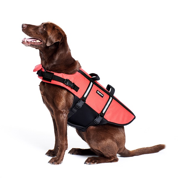 ZippyPaws ZP499 Adventure Dog Life Jacket, M, 21 to 27 in Chest/Girth, Red - 3