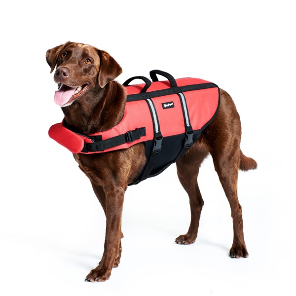 ZippyPaws ZP499 Adventure Dog Life Jacket, M, 21 to 27 in Chest/Girth, Red - 4