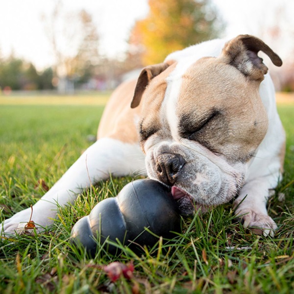 Kong Extreme UXL Dog Toy, XL, Rubber, Black