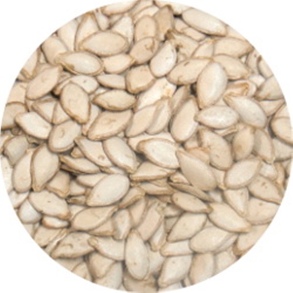 Chuckanut Squirrel Food, Chuckanut Products, Seed, 3 lb - 2