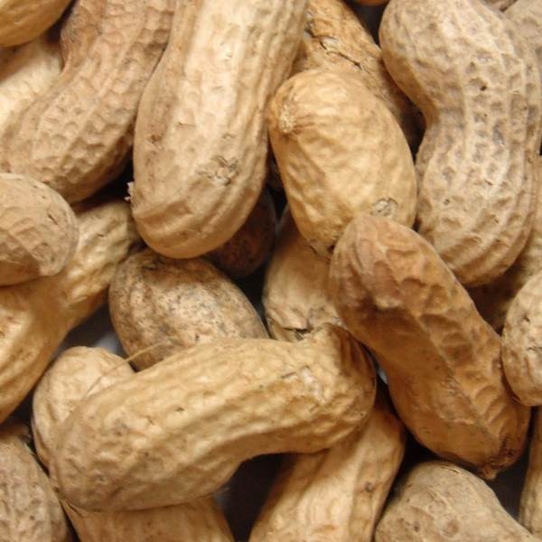 Nature's Nuts Premium 00043 In-Shell Peanuts, 3 lb Bag - 2