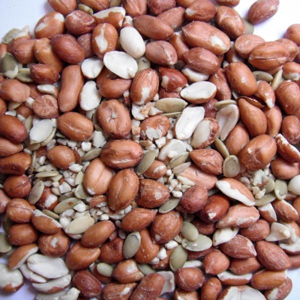 Nature's Nuts Premium 00091 No Mess Supreme Seed, 20 lb Bag - 2