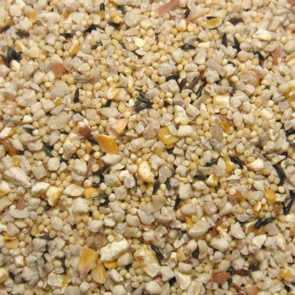 Wild Bird Food, Nature's Nuts, Waste-Free No Sprout Blend, 20 lb Bag - 2