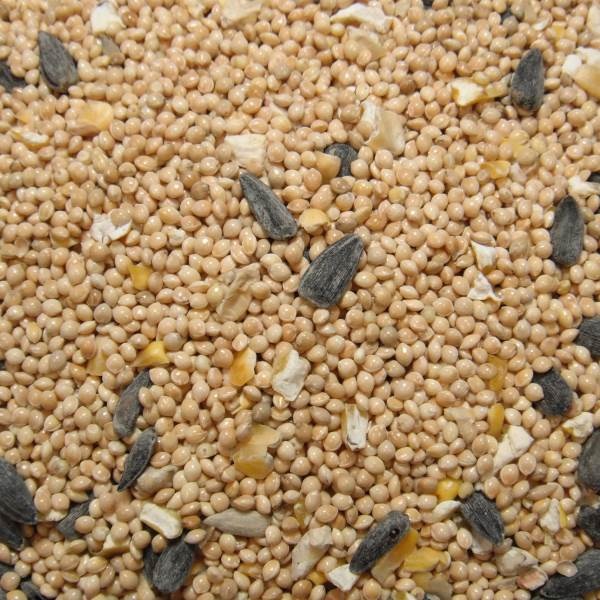 Wild Bird Food, Nature's Nuts, Super Value Blend, 40 lb - 2